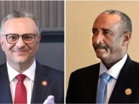 البرهان وبولس