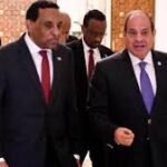 الرئيس المصرى والدكتور كامل ادريس