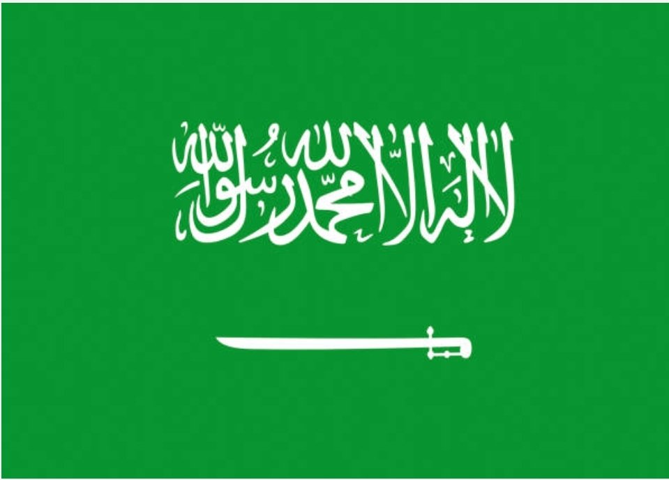 طالبت السعودية قوات الدعم السريع بالتوقف (فورا) عن انتهاكاتها في السودان والالتزام بواجبها