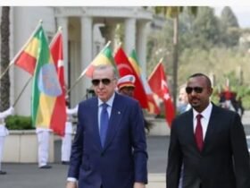 اوردغان وابى احمد