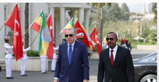 اوردغان وابى احمد