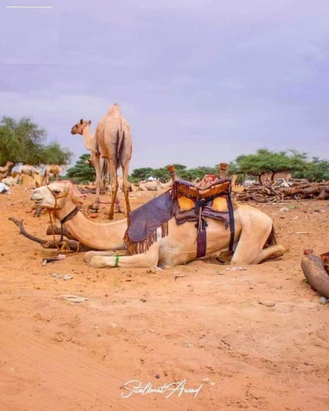 مع نزوح نحو اربعة عشر مليون شخص بسبب الحر