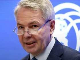 بيكا هافيستو