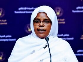 سلمى عبدالجبار