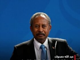 عقدنا لقاءات مفيدة مع عدد من القادة الأفارقة والدوليين على هامش قمة الاتحاد الإفريقي