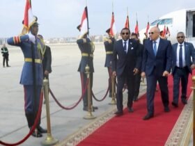 كامل ادريس فى مصر