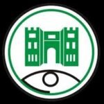 الجمارك السودانية