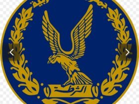 الشرطة المصرية