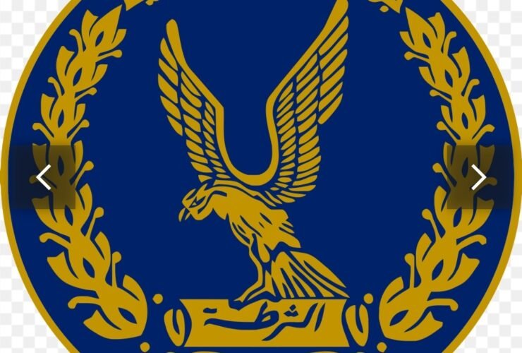 الشرطة المصرية