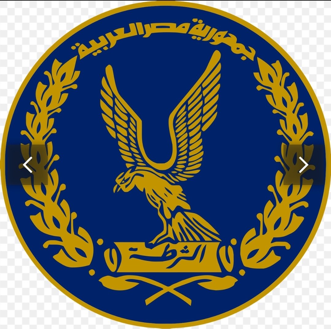 الشرطة المصرية