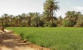 الولاية الشمالية