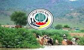 جنوب كردفان