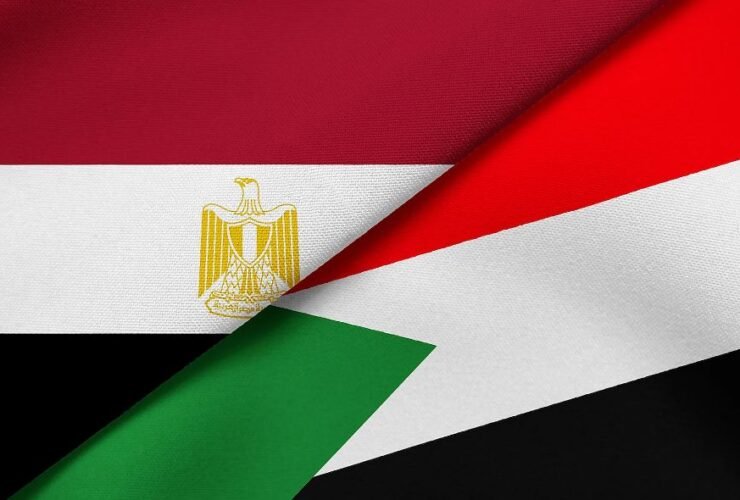 لجنة العودة الطوعية