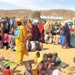 نارحين طويلة