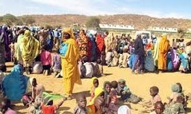 نارحين طويلة