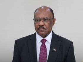 وزير الخارجية السوداني