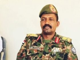 أبوعاقلة-كيكل