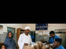 الأسرة السودنية