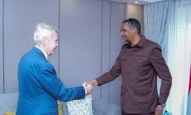 الأمم المتحدة ستيفان دوجاريك