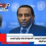 الدكتور كامل إدريس