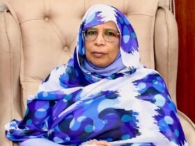 لمياء عبدالغفار