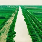 مشروع الجزيرة 1