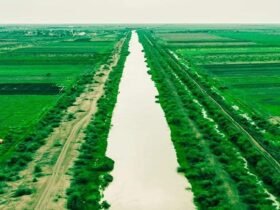 مشروع الجزيرة 1