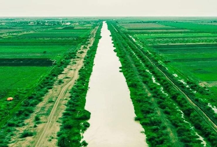 مشروع الجزيرة 1