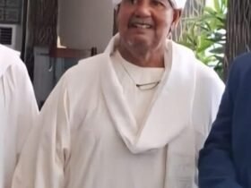 الناظر مامون هبانى