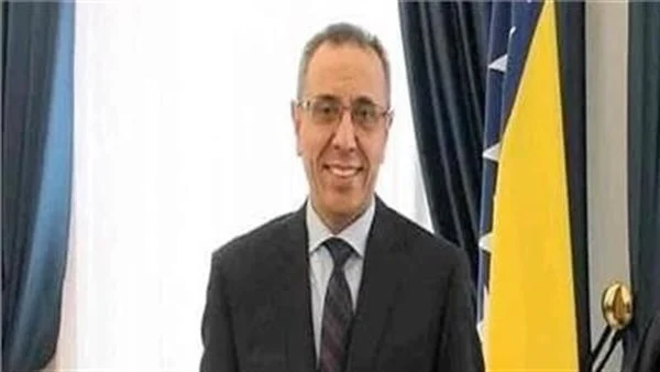 مساعد وزير الخارجية المصري ياسر سرور