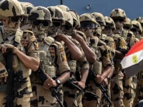 الجيش المصرى