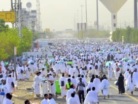 الحجاج