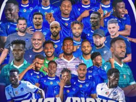 الهلال بطلا