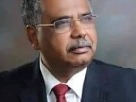 محمد عصمت يحيي