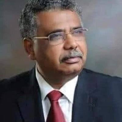 محمد عصمت يحيي