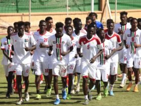 منتخب الشباب السودانى