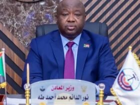 وزير المعادن نور الدائم طه