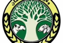 شمال كردفان
