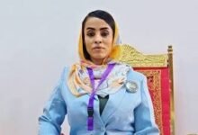 كاشا النيل