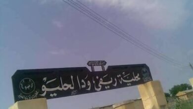محلية ود الحليو
