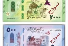الجنية السودانى