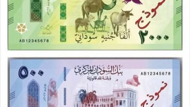 الجنية السودانى
