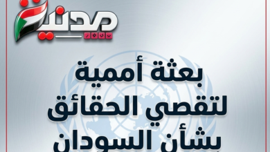 البعثة الأممية لتقصى الحقائق