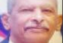عوض ميرغنى الديب