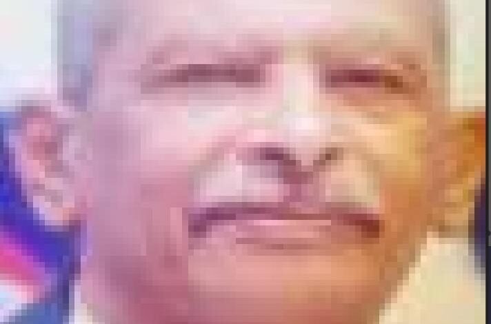 عوض ميرغنى الديب