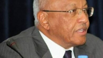 مامون حميدة