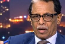 وزير الطاقة والتعدين السابق عادل إبراهيم