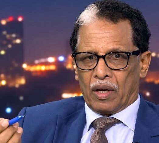 وزير الطاقة والتعدين السابق عادل إبراهيم