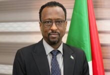 وزير الإعلام السودانى