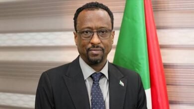 وزير الإعلام السودانى